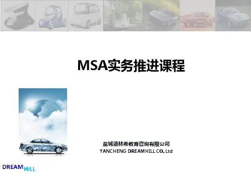 MSA培训教材(第四版)