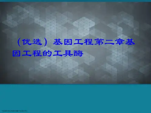 基因工程第二章基因工程的工具酶