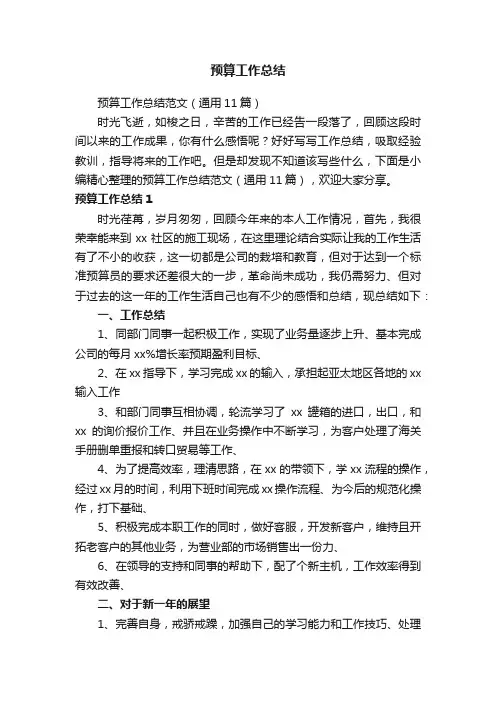预算工作总结范文（通用11篇）