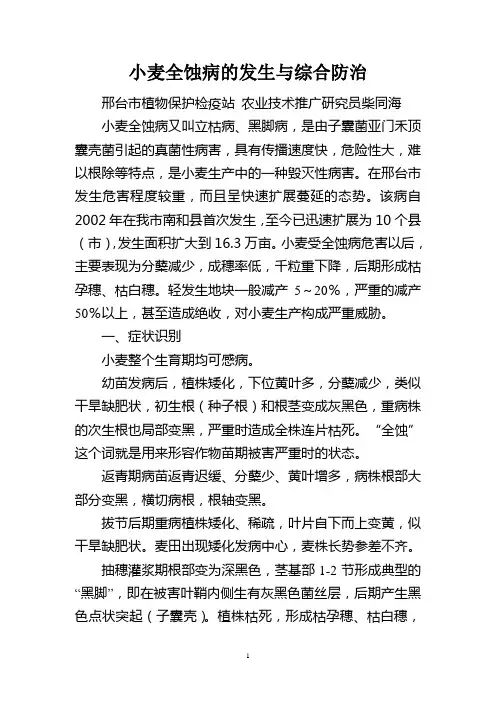 小麦全蚀病的发生与综合防治(定稿)100830