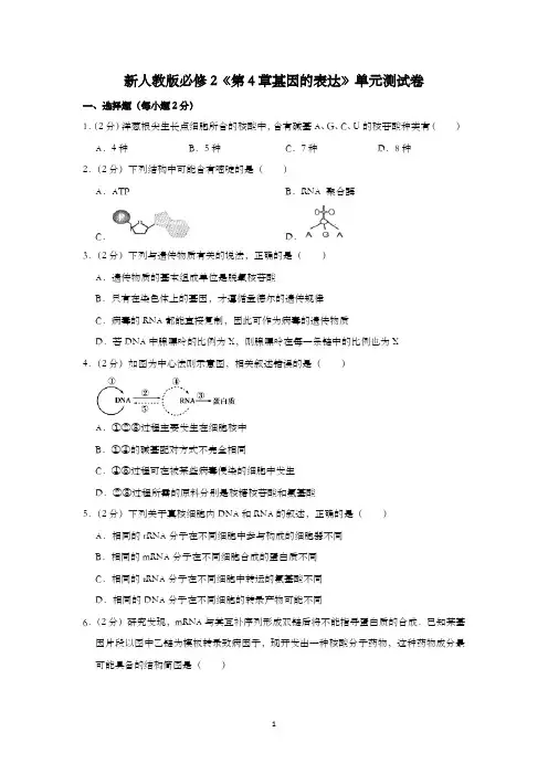 新人教版必修2《第4章基因的表达》单元测试卷含解析