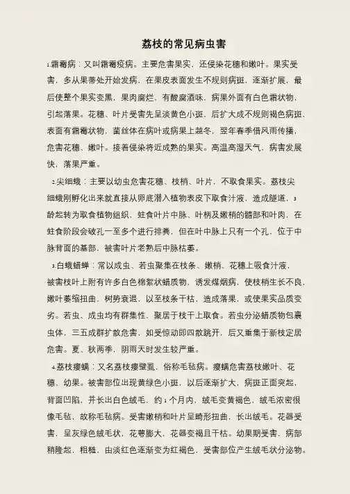荔枝的常见病虫害