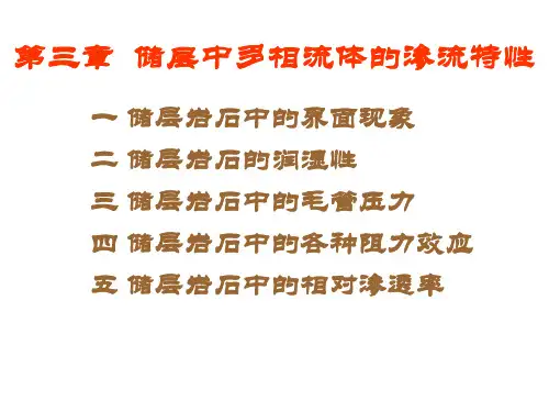 储层中多相流体的渗流特性(精)