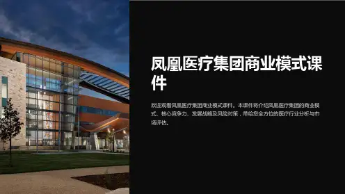 凤凰医疗集团商业模式课件