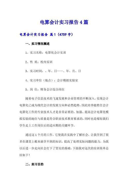 电算会计实习报告4篇
