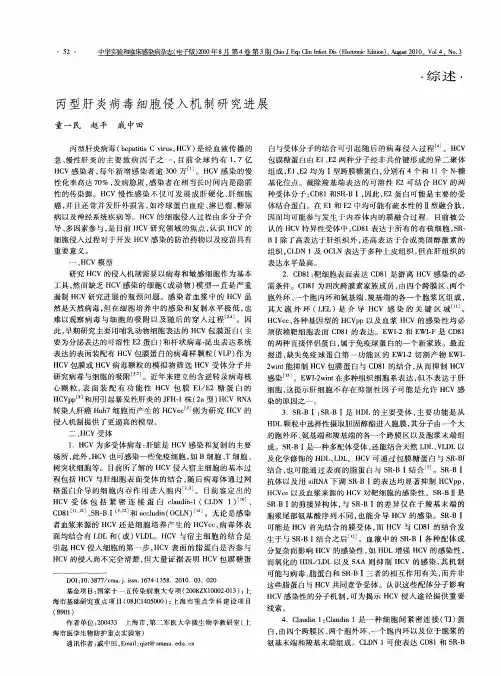 丙型肝炎病毒细胞侵入机制研究进展