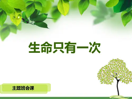 生命只有一次 ppt课件