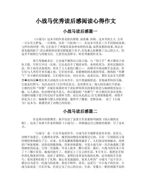 小战马优秀读后感阅读心得作文