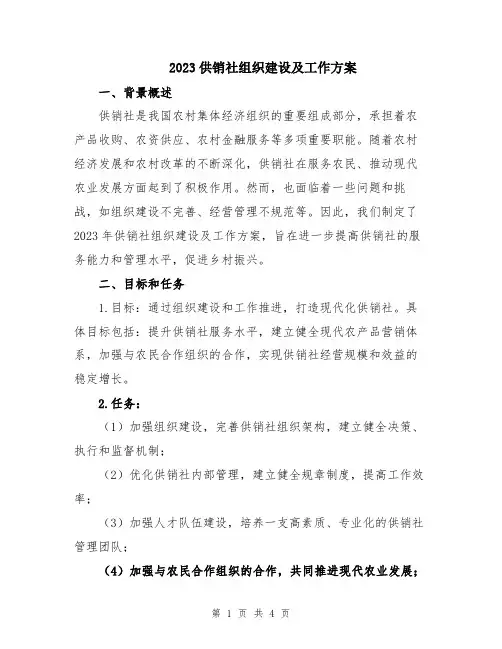 2023供销社组织建设及工作方案