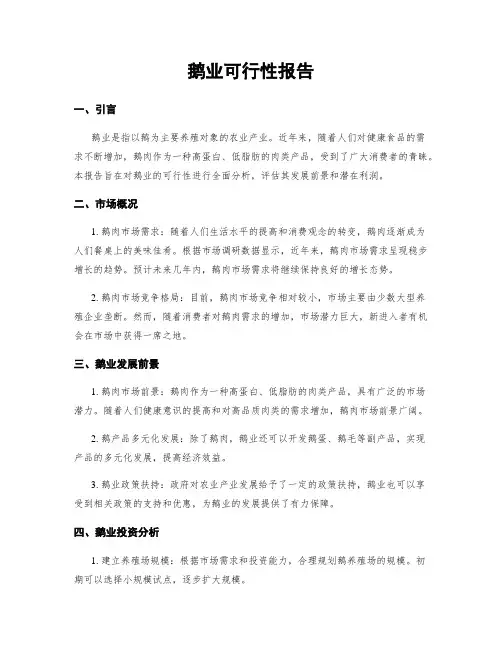 鹅业可行性报告