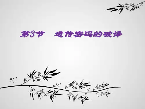 遗传密码的破译优秀课件1