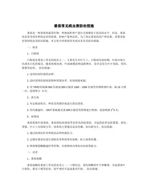 番茄常见病虫害防治措施