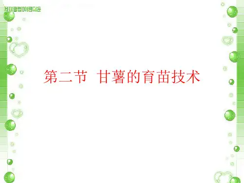 第八章第二节甘薯的育苗技术