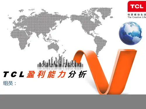 TCL盈利能力分析-讲解