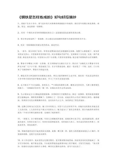 钢铁是怎样炼成的好句好段摘抄