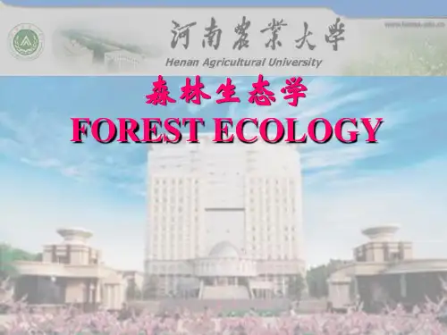 森林生态学绪论