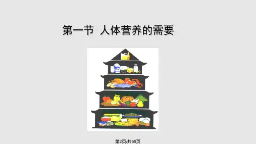 饮食与营养2学习.pptx