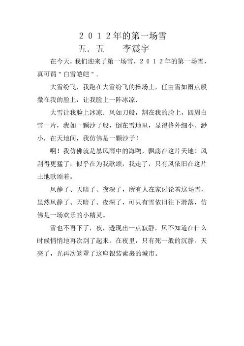 2012年的第一场雪