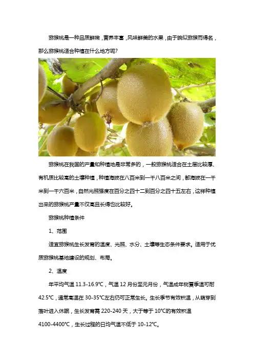 猕猴桃适合什么地方种植