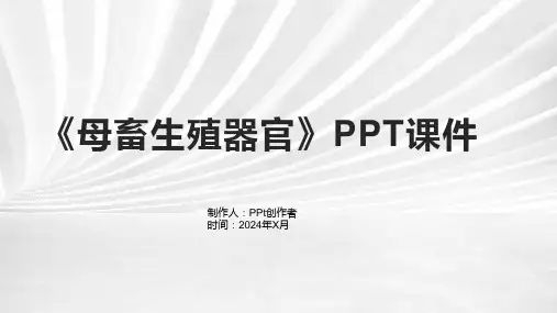 《母畜生殖器官》课件