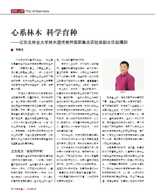 心系林木 科学育种——记东北林业大学林木遗传育种国家重点实验