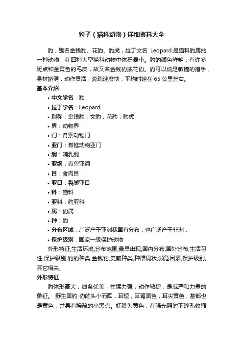 豹子（猫科动物）详细资料大全
