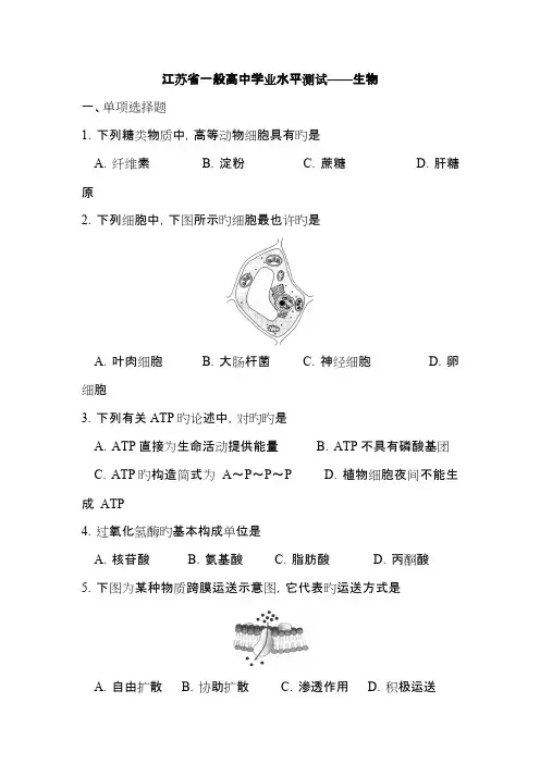 2023年江苏省普通高中学业水平测试必修科目生物