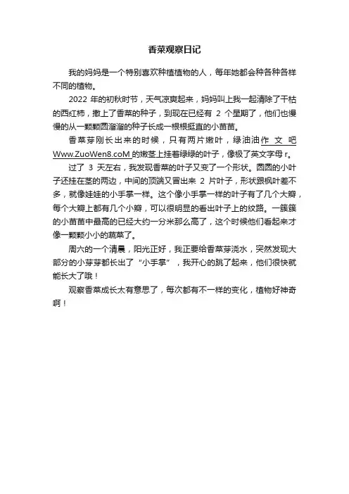 香菜观察日记