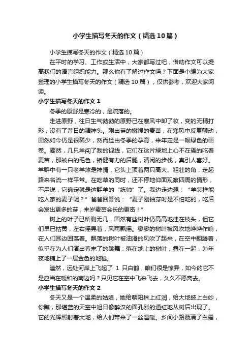 小学生描写冬天的作文（精选10篇）