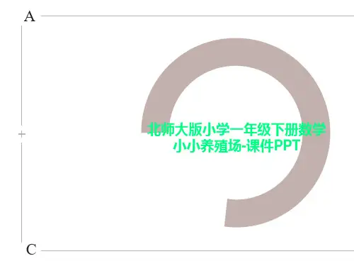 北师大版小学一年级下册数学小小养殖场-课件PPT