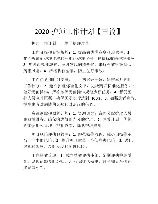2020护师工作计划【三篇】