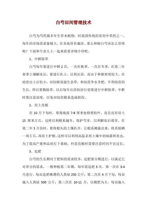 白芍田间管理技术