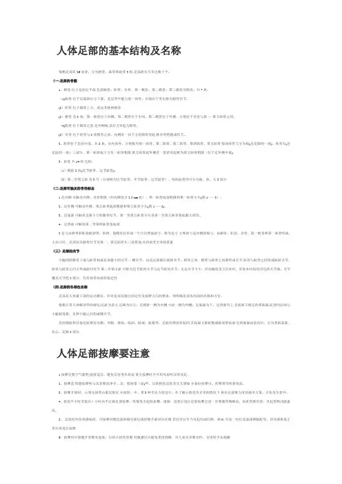 人体足部的基本结构及名称