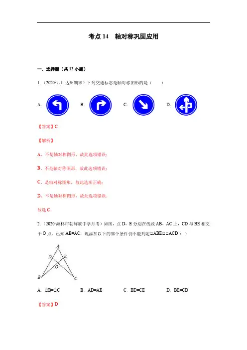 考点14  轴对称巩固应用(解析版)
