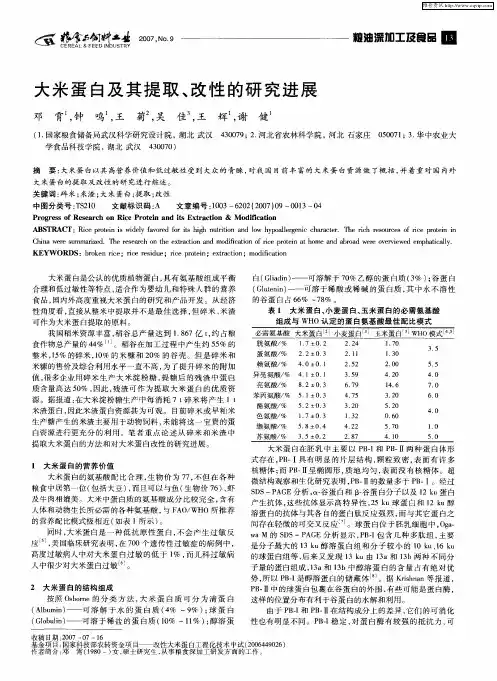 大米蛋白及其提取、改性的研究进展