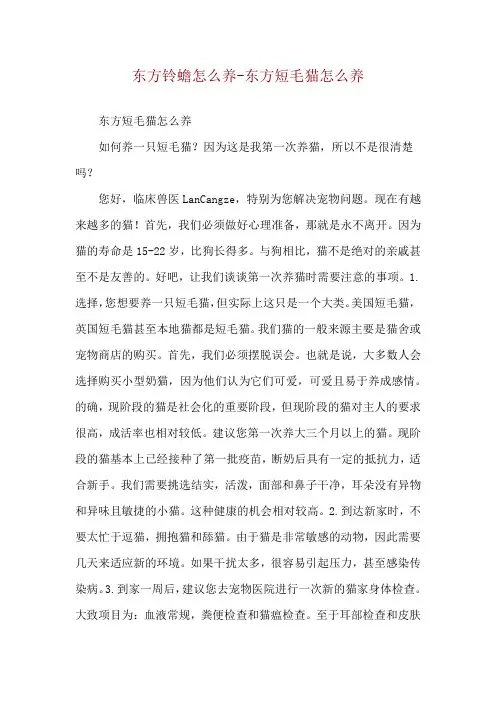 东方铃蟾怎么养-东方短毛猫怎么养