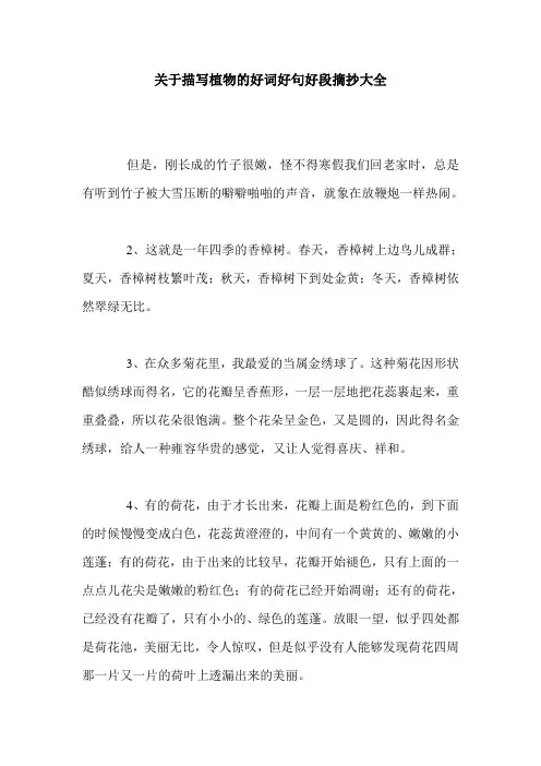关于描写植物的好词好句好段摘抄大全