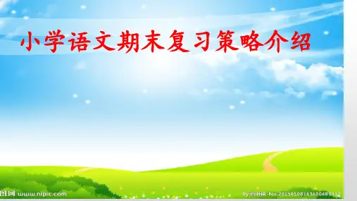 小学语文期末复习课件-策略介绍 人教部编版(共20张PPT)