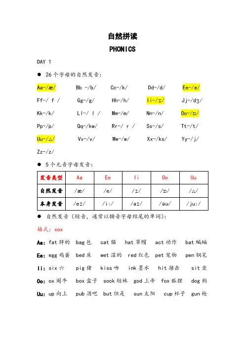 自然拼读(讲义)通用版英语六年级下册
