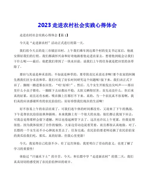 2023走进农村社会实践心得体会