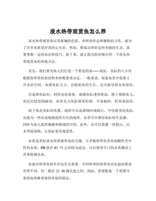 淡水热带观赏鱼怎么养
