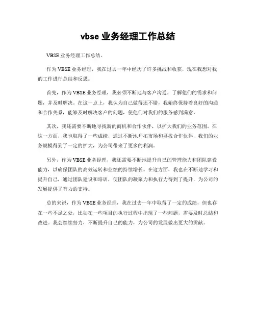vbse业务经理工作总结