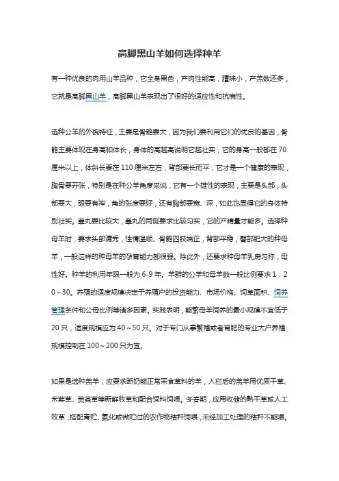高脚黑山羊如何选择种羊