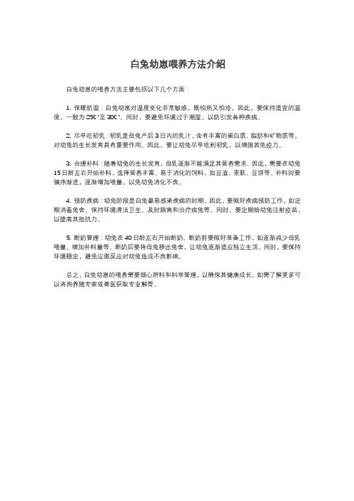 白兔幼崽喂养方法介绍