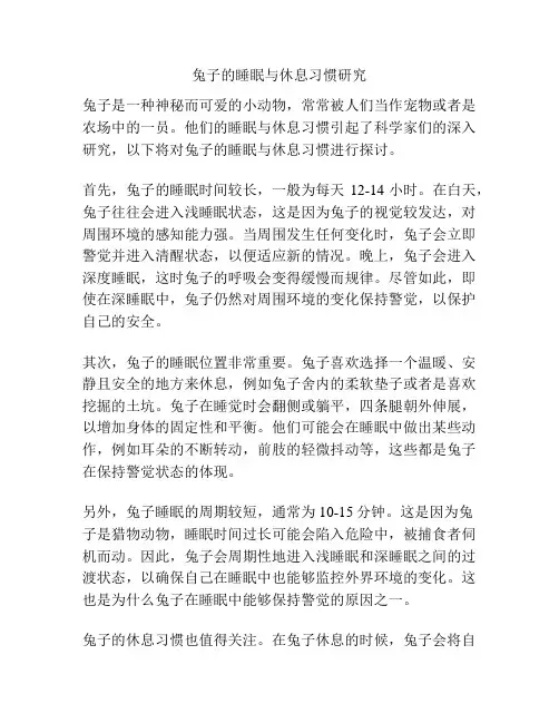 兔子的睡眠与休息习惯研究