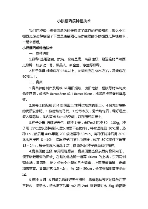 小拱棚西瓜种植技术