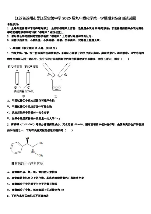 江苏省苏州市吴江区实验中学2025届九年级化学第一学期期末综合测试试题含解析