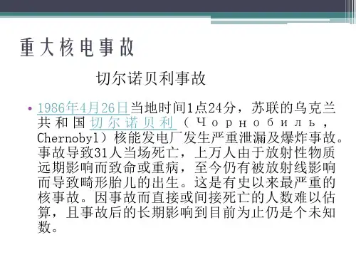 核电安全课件
