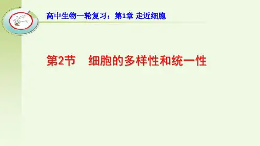 高中生物一轮复习：细胞的多样性和统一性