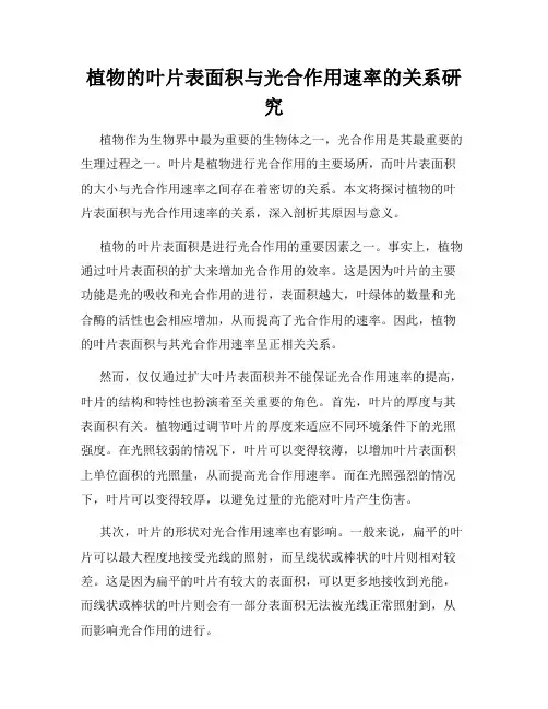 植物的叶片表面积与光合作用速率的关系研究